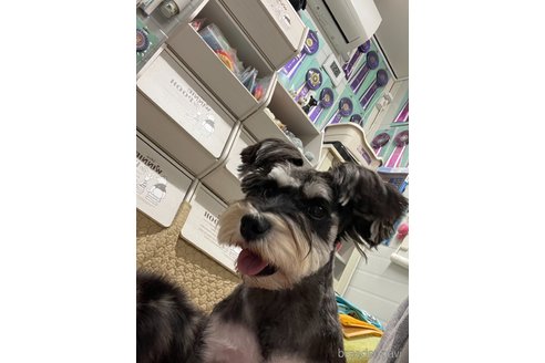 ぼーちゃんちゃん1枚目